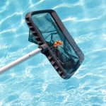 cleaning-swimming-pool-of-fallen-leaf-with-skimmer-2022-12-16-11-16-42-utc-1